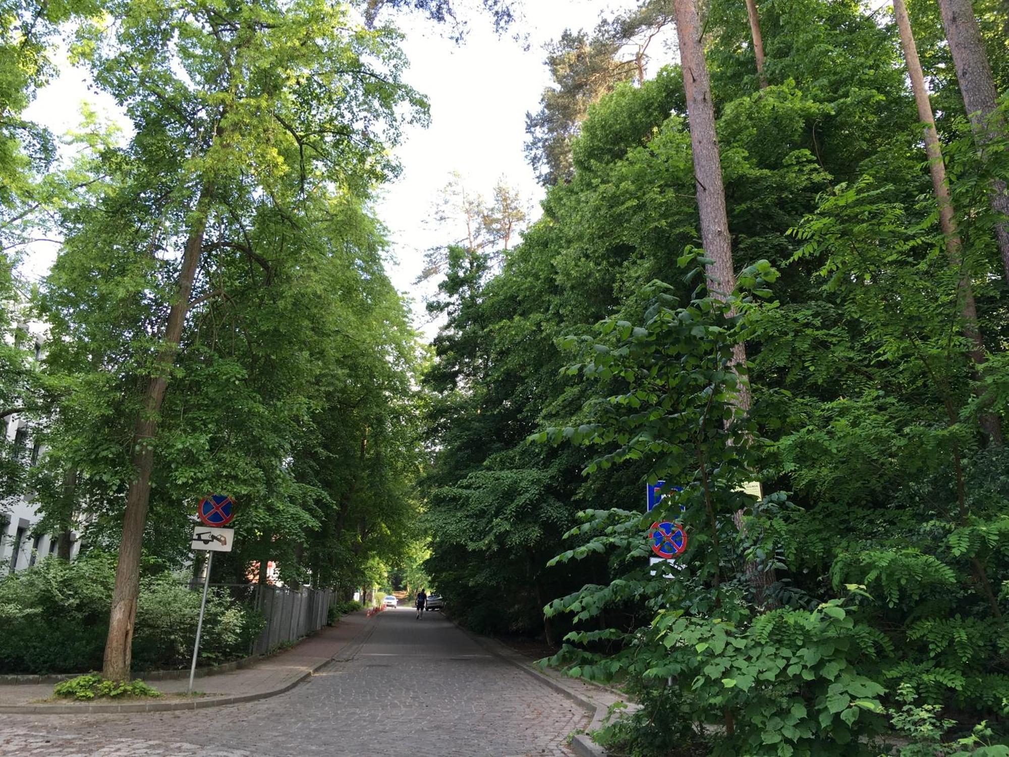 Przytulny Apartament Blisko Lasu Z Szybkim Wi-Fi Сопот Экстерьер фото